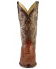 Ковбойские сапоги Ferrini Caiman Croc Rust Print форма мыса - Round Toe - 036G48_36_ft.jpg